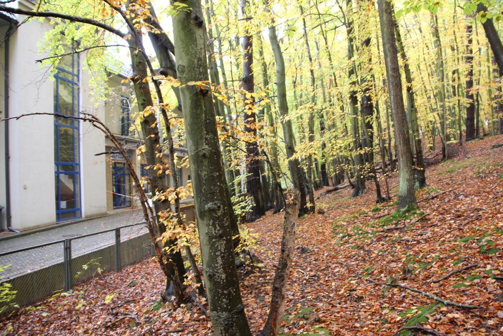 Hotel Lesny Sopot Extérieur photo